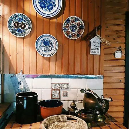 Ptaszorowka Semesterbostad *