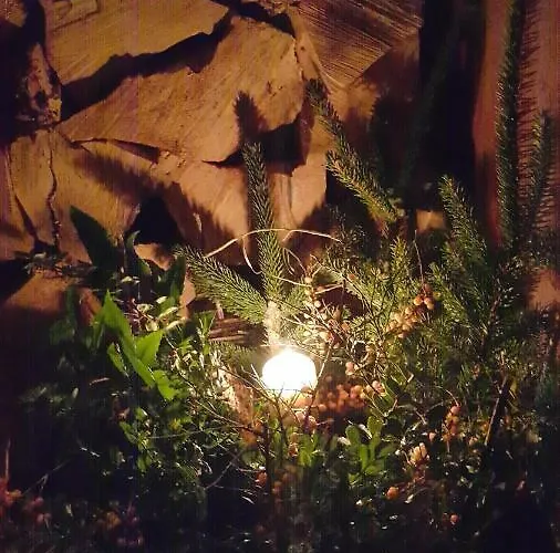 Ptaszorowka בית נופש שצ'צ'ירק